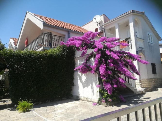 Apartment with sea view