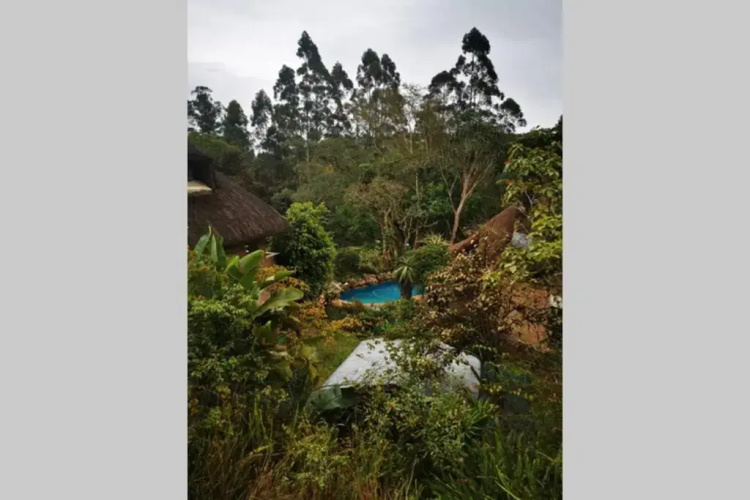 Nature Lovers Paradise