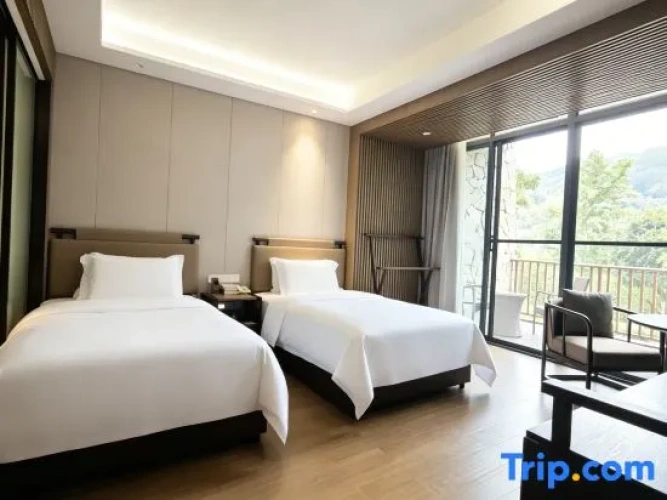 Premium Twin room