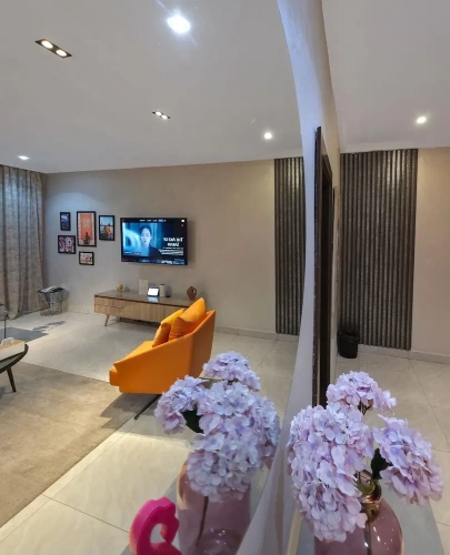Economy Apartment