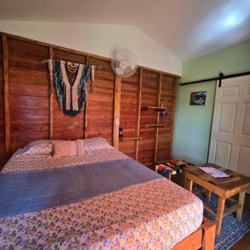 Green House Hostel