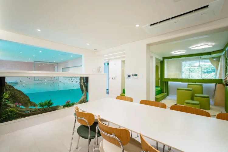 Pico Kids Pool Villa