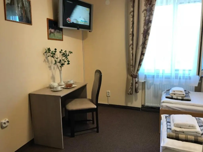 Standard Twin room with mountain view