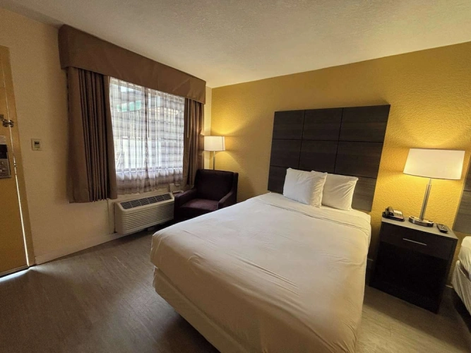 Standard Double Suite