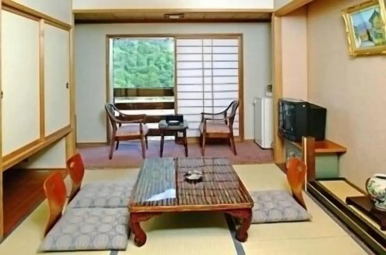 Standard room with balcony and with river view