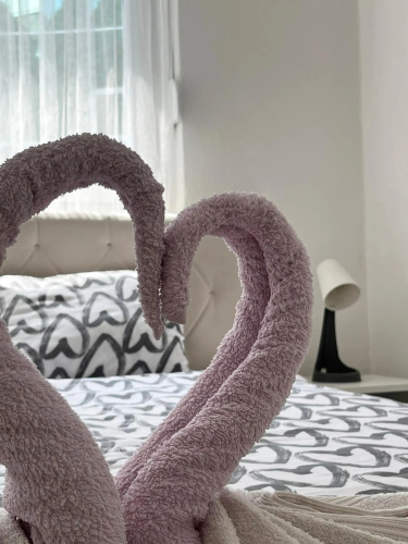 Starlux apartment