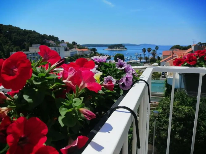 Apartment with balcony and with sea view