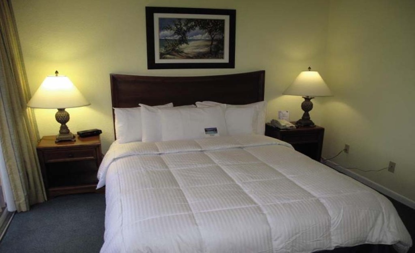 Blue Tree Resort at Lake Buena Vista photo 7