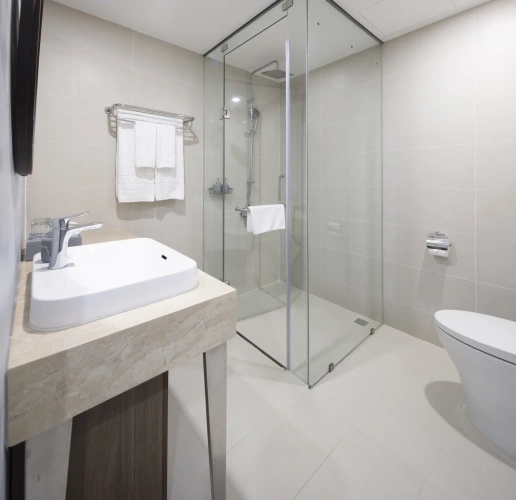Deluxe Twin room with city view