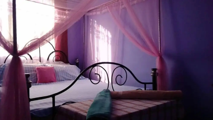 View Mountain House - Backpackers