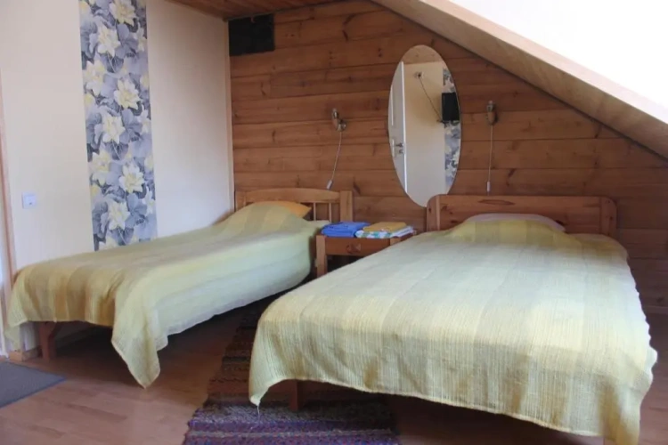 Standard Twin room with view
