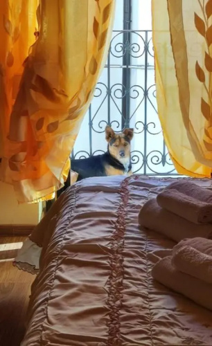 La casetta della nonna