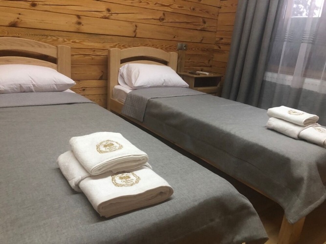 Standard Twin room with mountain view