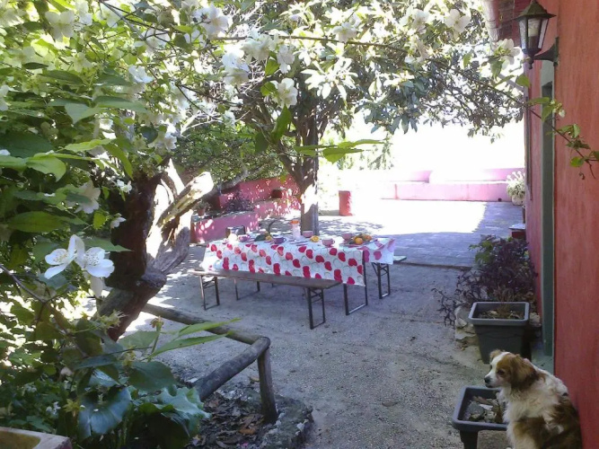 Casa Amoreira - Quinta Amoreira