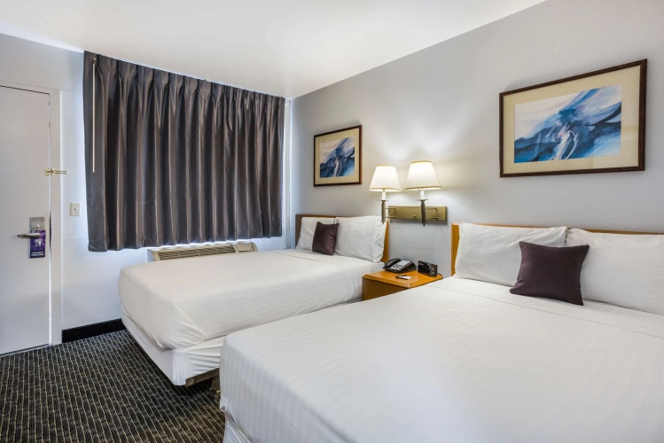 Quadruple Suite