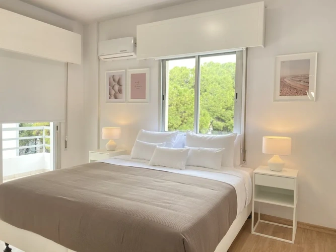 Luxury Apartment