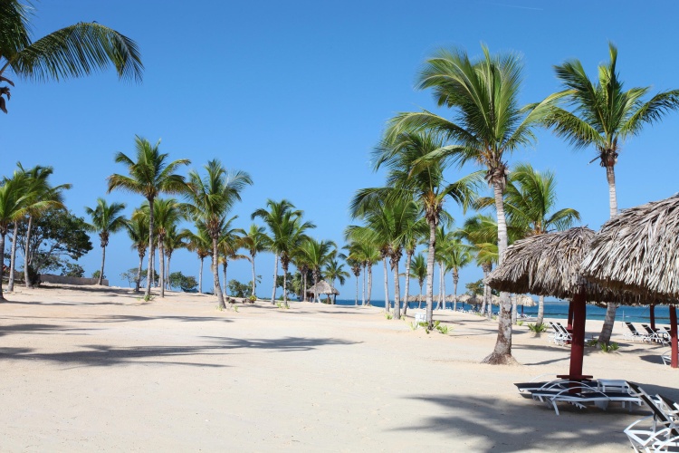 Bahia Principe Luxury Bouganville - Adults Only photo 21