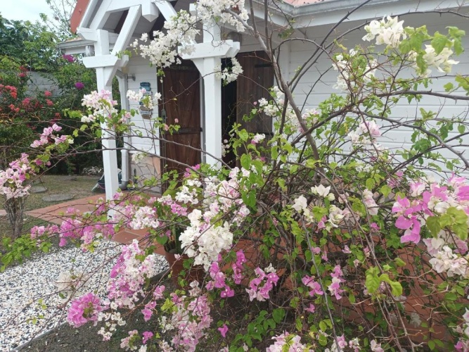 3 Bedrooms Cottage