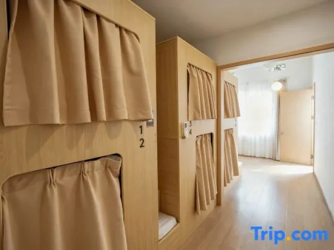 Bed in Dorm (female dorm)