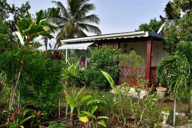 Bungalow tropical