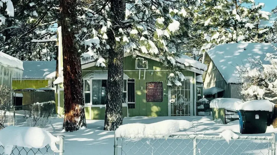 A Beary Cute Cabin