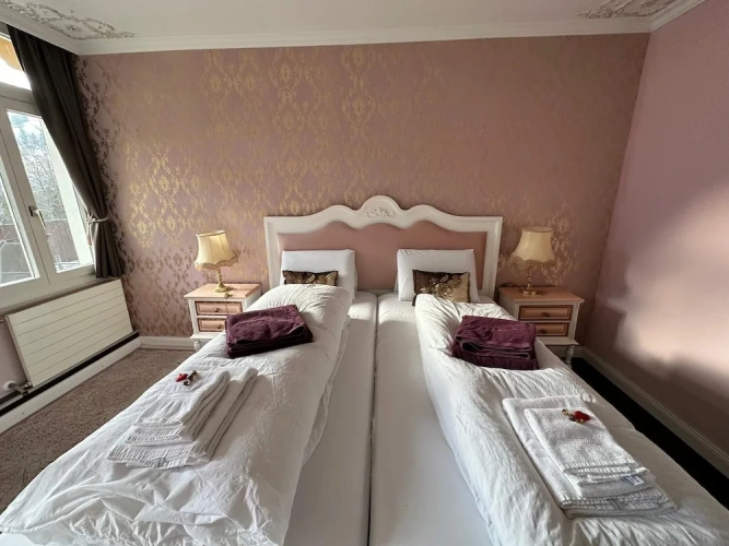 Deluxe room with balcony and with mountain view
