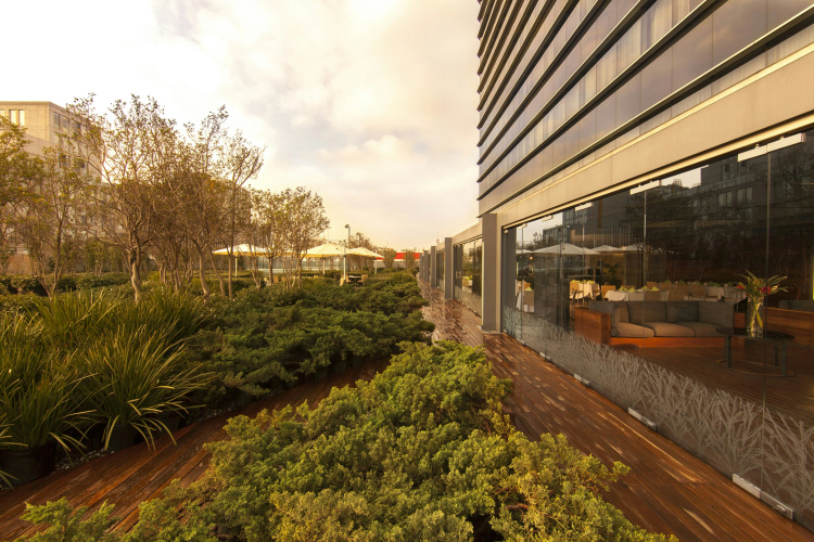 Hilton Mexico City Reforma photo 33