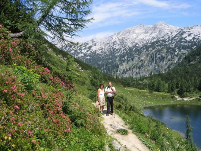 Bauernhof Haim