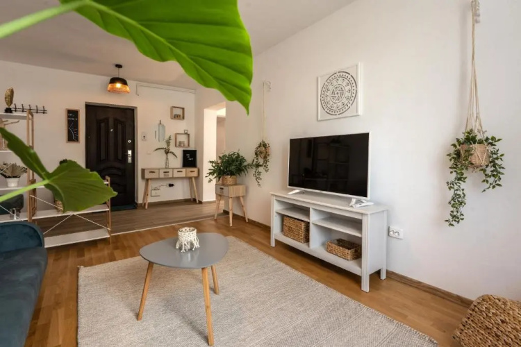 Daisy Apartment 11