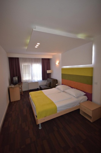Standard Double room with balcony and with view