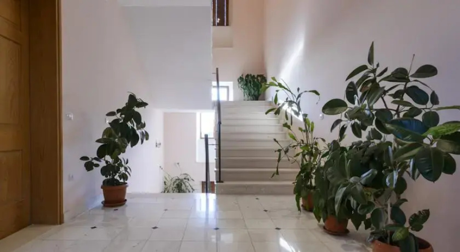 Guest House Resetar