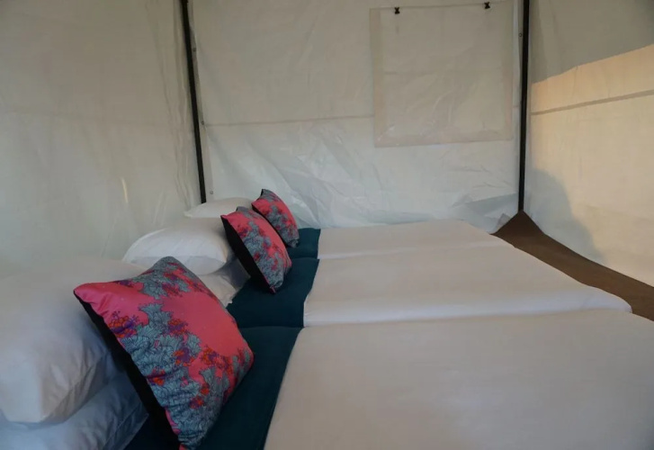 Singha Park Chiang Rai Camping