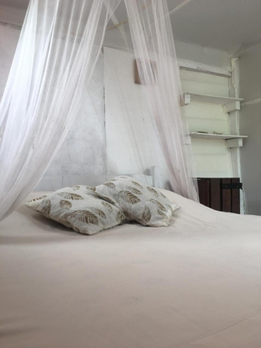 Green House Hostel