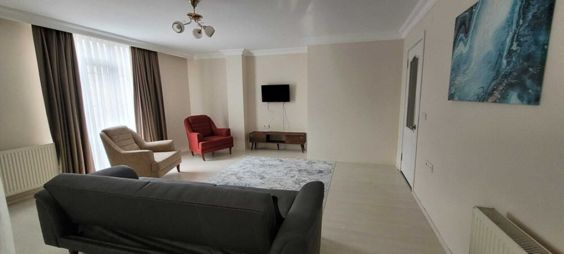 aronya istanbul
