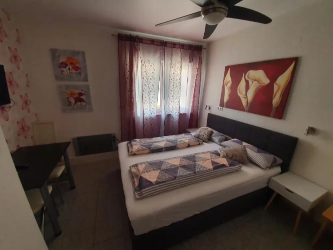 Standard Family room