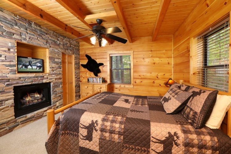 Black Bear Hibernation #2825