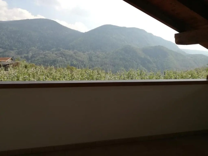 Junior Suite with balcony and with view