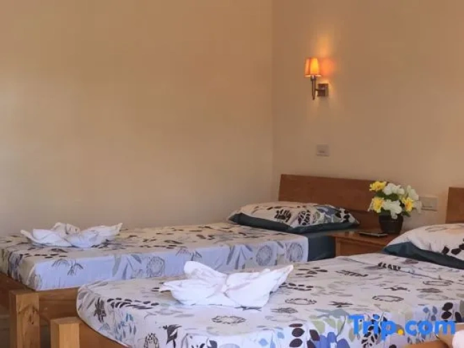 Standard Twin room with view