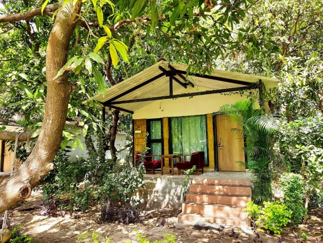 Cottage