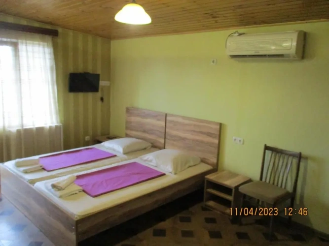 Standard Suite