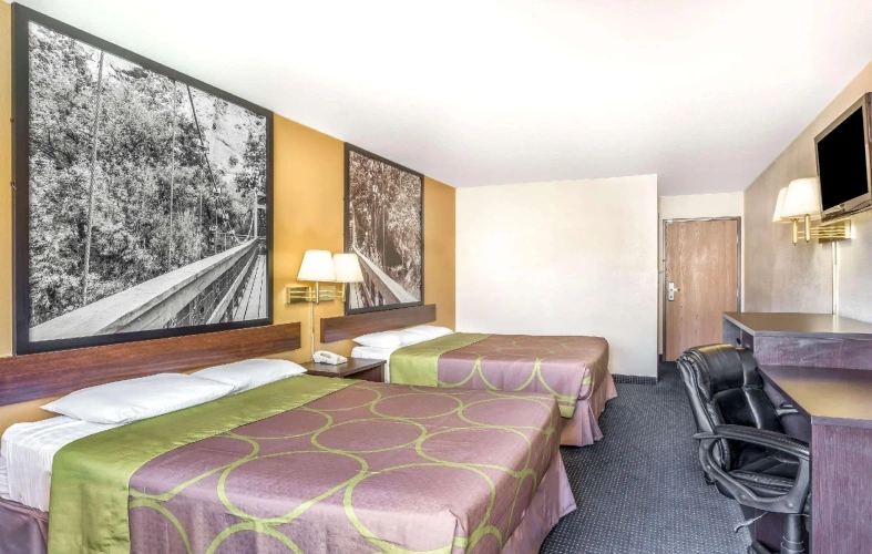 Quadruple Suite