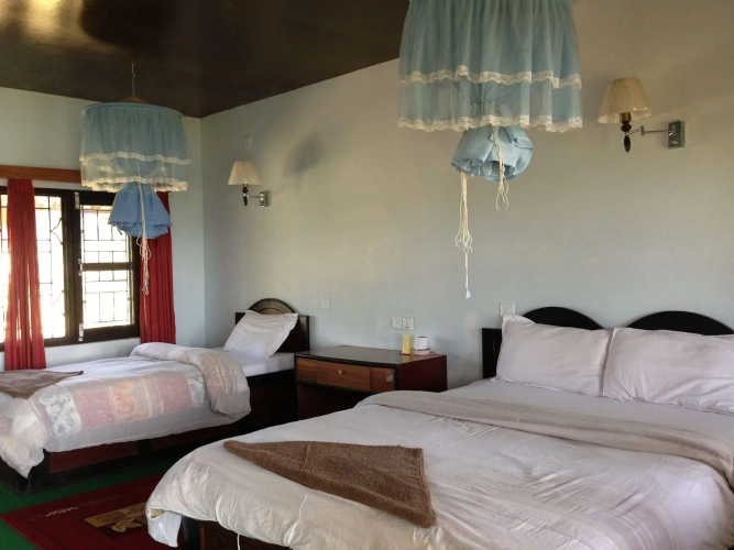 Deluxe Double room with balcony and with view