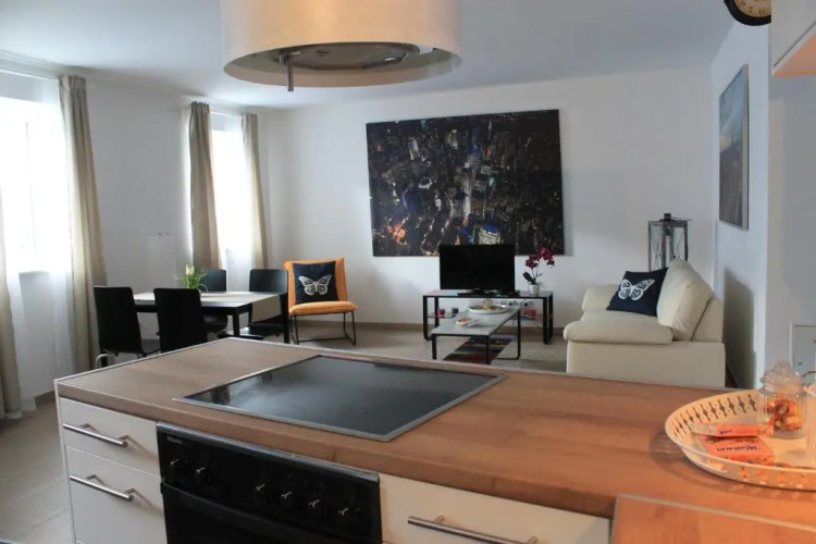 Urban-Style Apartment
