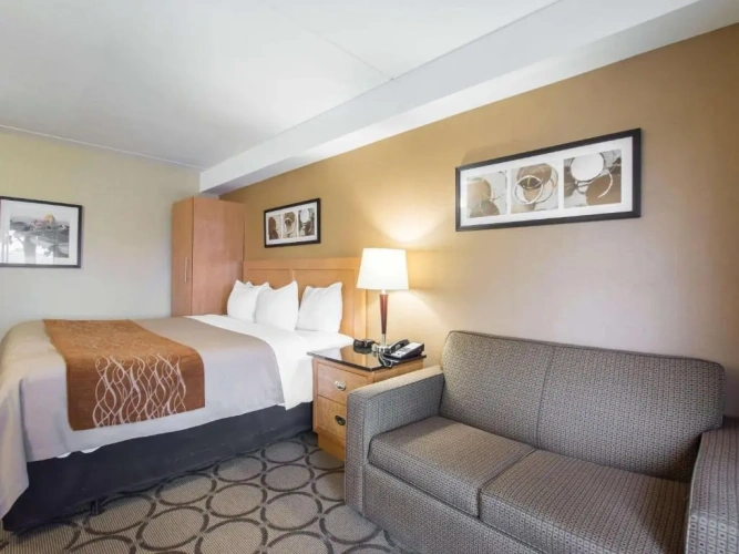Deluxe Double Basement room