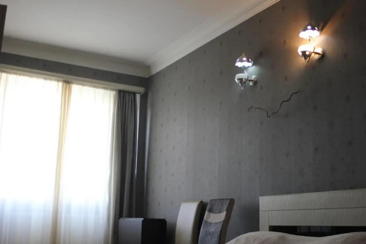 Guest House Ani