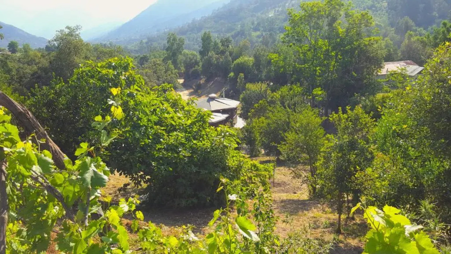 Las Palmas Lodge