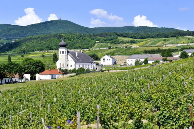 Freigut Thallern