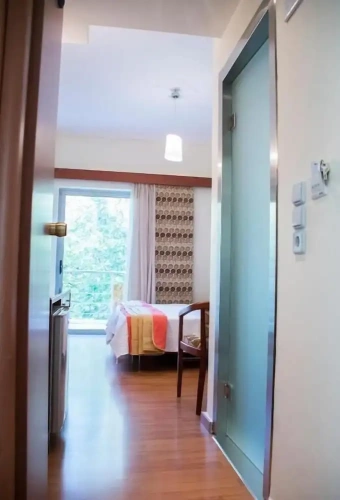 Deluxe Double room with balcony and with mountain view