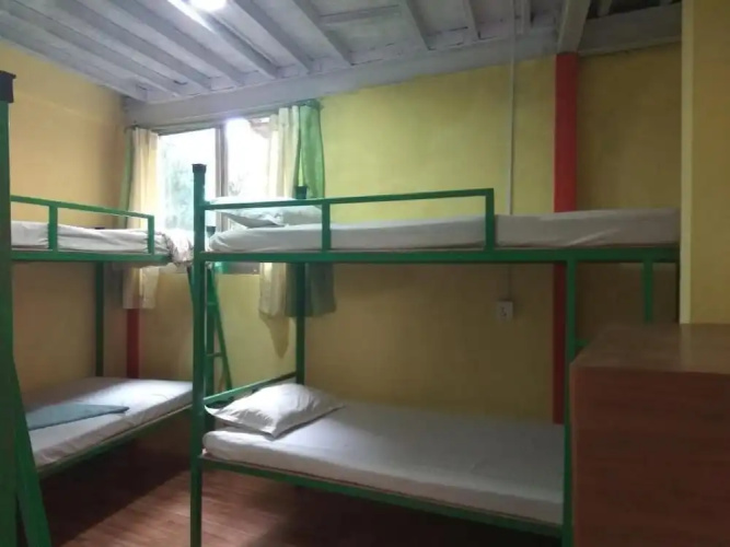 Beehive Hostel