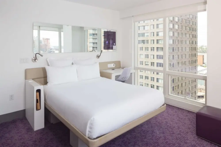 With Terrace Double First Class Junior Suite